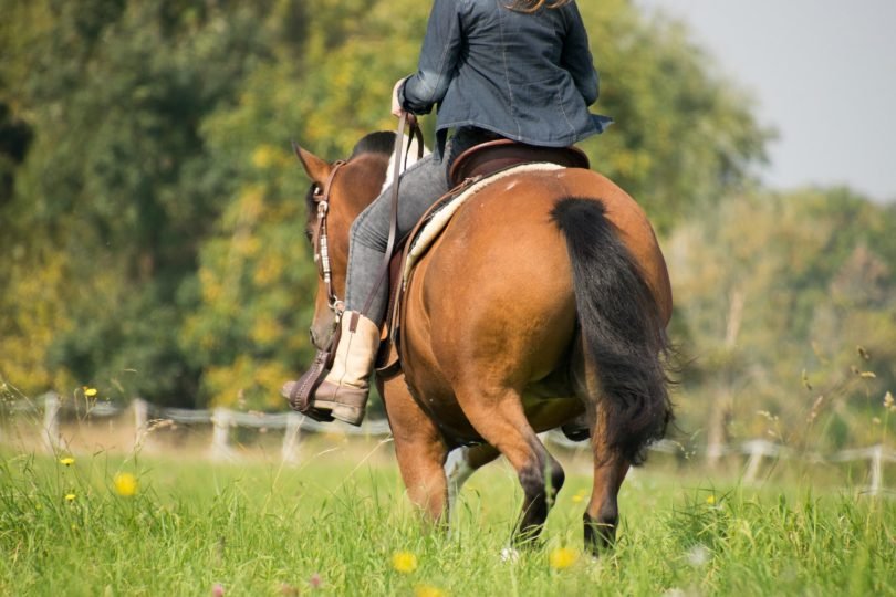 horseback-riding-apparel-what-wear-810×540